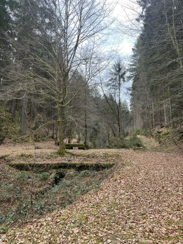 Lemberger Flößertour (Premiumwanderweg)