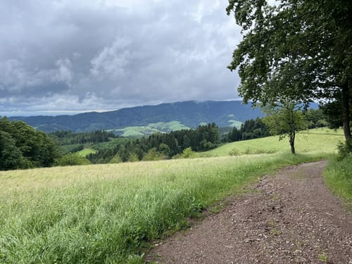 Harmersbacher Vesperweg (Genießerpfad)