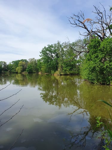 An den Teichen beim Bautzener Stausee