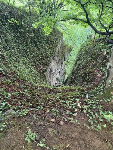 Rohdetal - Frankenburg