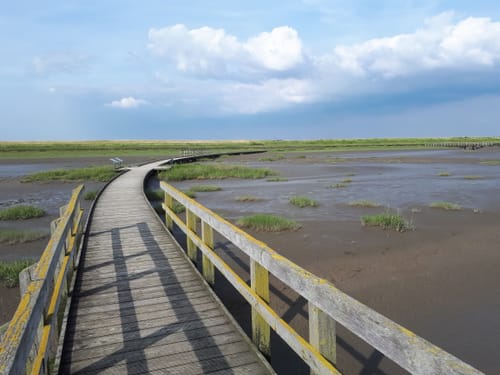 Langwarder Groden
