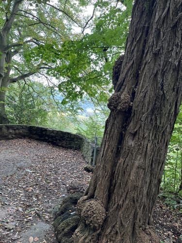Haus Kemnade und Burg Blankenstein Rundweg