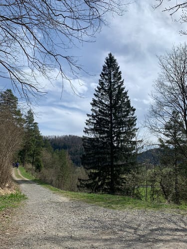 Schlichemklamm Rundstrecke