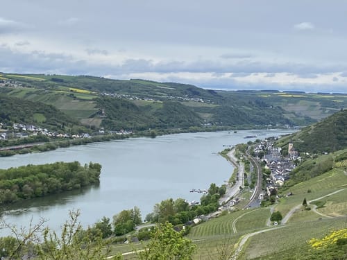 In Vino Veritas (Premiumwanderweg)