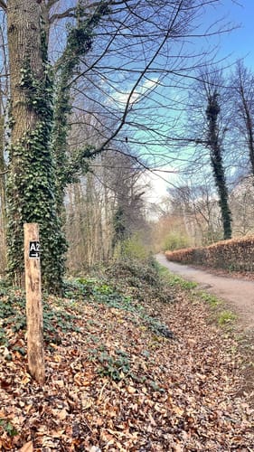 Aaper Wald A2