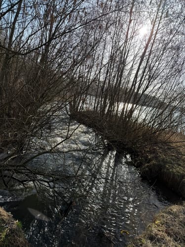 Rund um den Lippesee