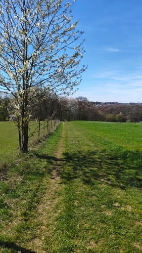 Pilgerweg (Overath)