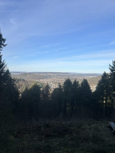 Der Gisinger (Traumschleife)