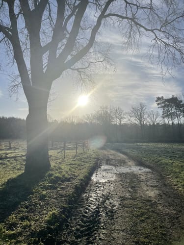 Dorperheide - Klein Vink - Walbeck