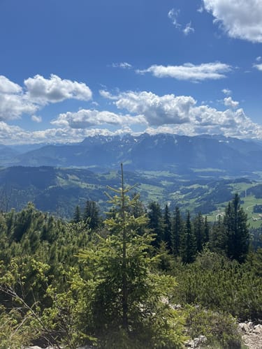 Almwanderung Goglalm