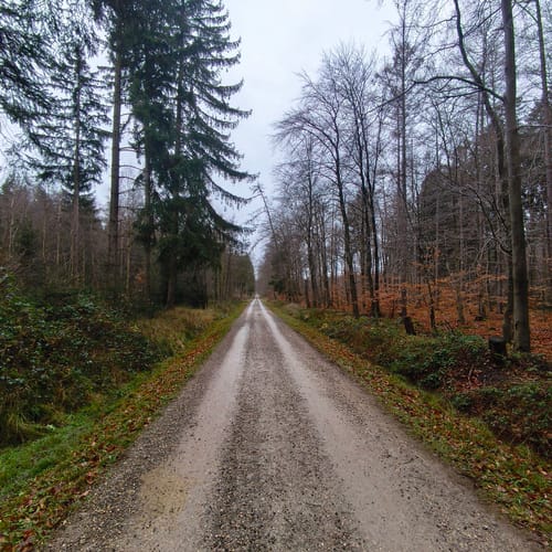 Venwegen - Andreashütte - Zweifall
