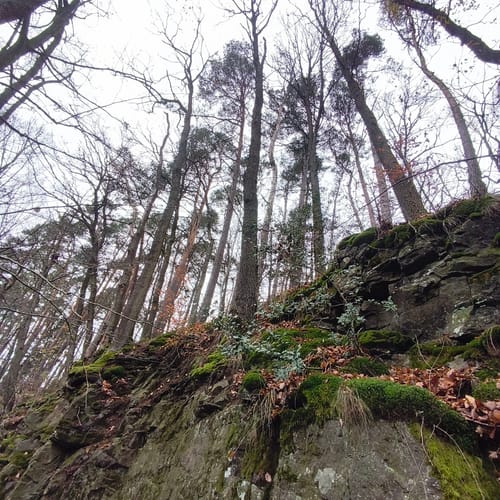 Venwegen - Andreashütte - Zweifall
