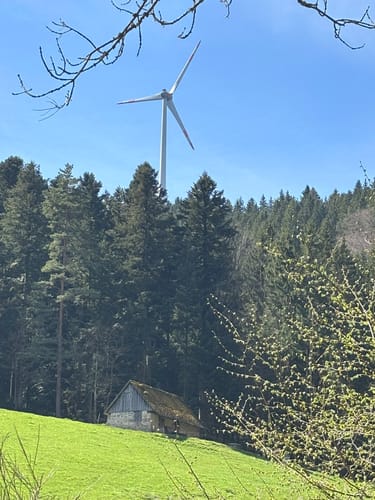 Gutacher Tälersteig (Genießerpfad)