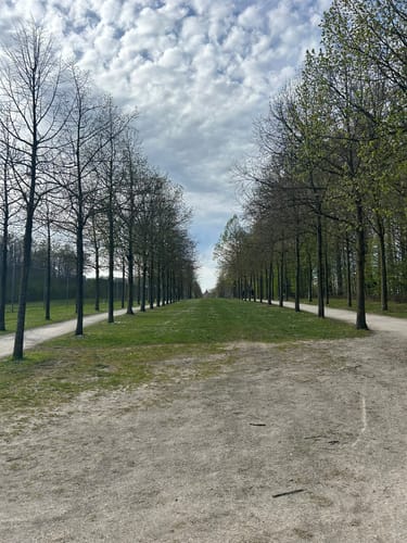 Durch das Bagno-Buchengebiet und Hollich (Westfälischer Heimatbund R8)