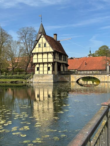 Durch das Bagno-Buchengebiet und Hollich (Westfälischer Heimatbund R8)