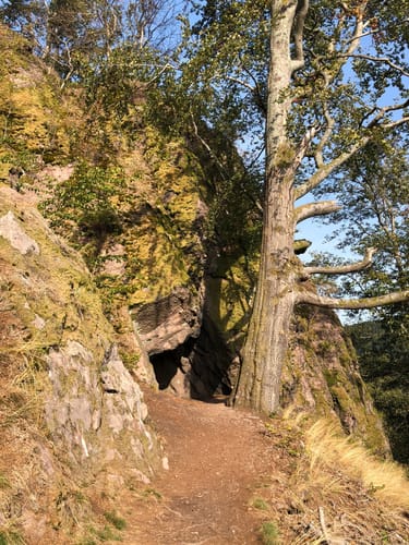 Lütsche-Flößergraben Rundwanderweg