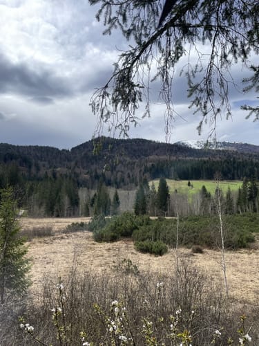 Klausenbachklamm (Premiumwanderweg)