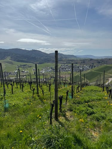 Durach - Urbansberg - Schloss Staufenberg