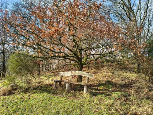 LandZeitTour (Traumschleife)