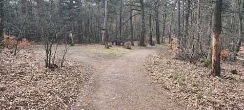 Herxheim, Ungeheuersee, und Bismarckturm