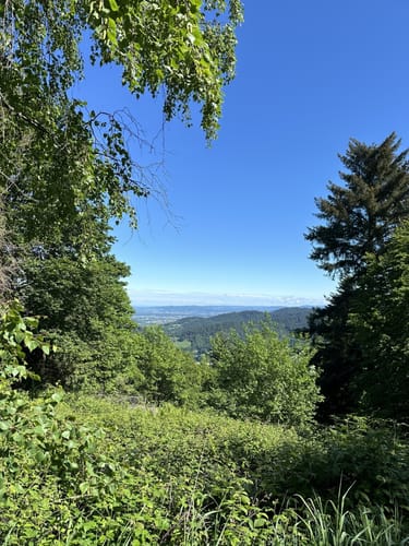 Zum Kybfelsen