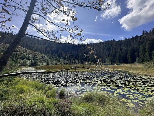 Zum Röterkopf und Huzenbachersee