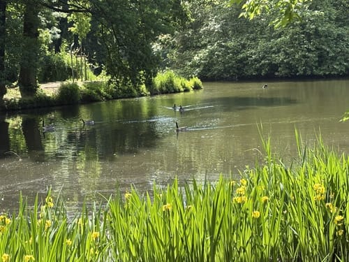 Auf gräflichen Spuren in der Löchterheide