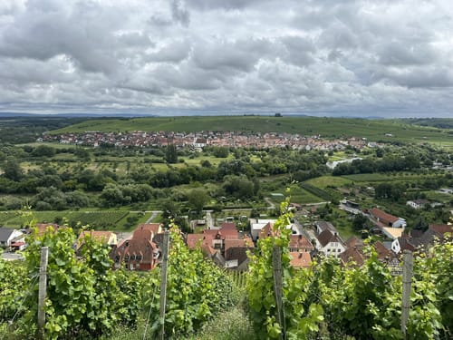 Dschungelpfad und Weinbergsaussicht