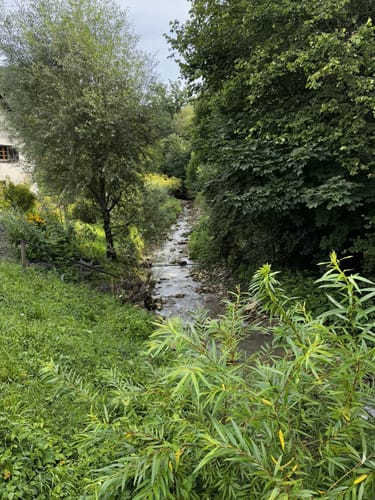 Schluchtensteig Etappe 2: Blumberg - Schattenmühle