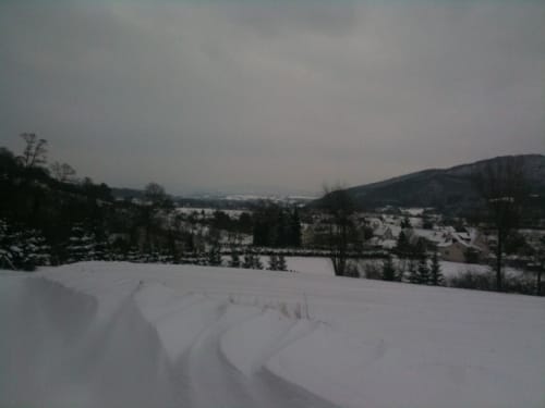 Waldrunde bei Hoheneiche