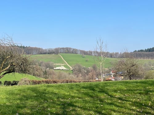 Heppenheim - Juhöhe Rundweg