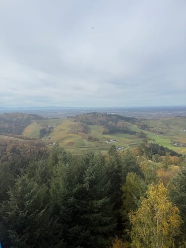 Oberkircher Brennersteig