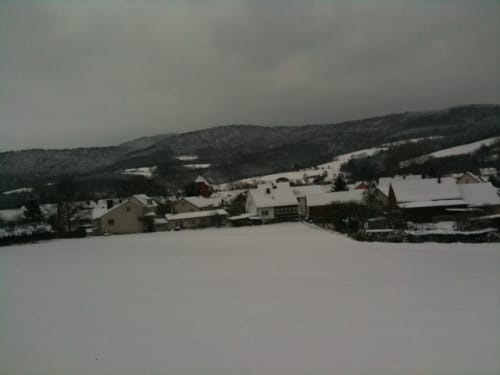 Waldrunde bei Hoheneiche