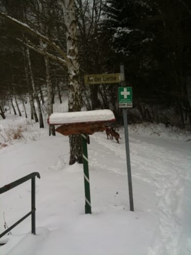 Waldrunde bei Hoheneiche