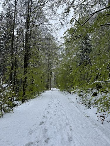 Naturlehrpfad "Oberes Weißmaintal"