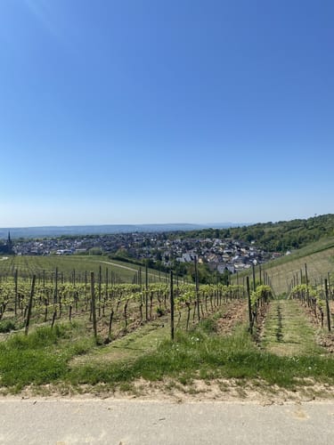 RHH 27: Eltville - Kloster Eberbach