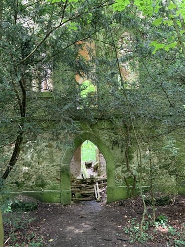 MTB: Über das Trockental nach Heiligenstadt