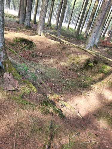EifelSpur Westwall