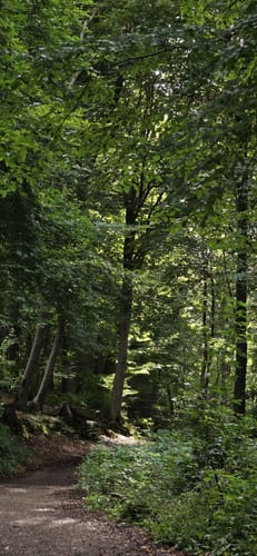Wurmtal-Route (Herzogenrath)