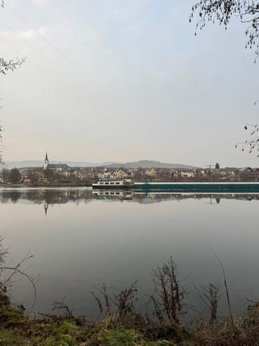 MTB Tour: Wintrich - Mülheim an der Mosel - Minheim