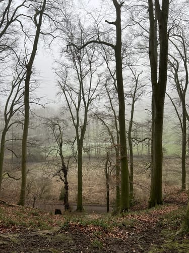 Rotthäuser Bachtal vom Naturfreunde Haus