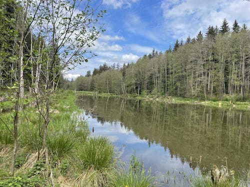 Lengenbachtalweg
