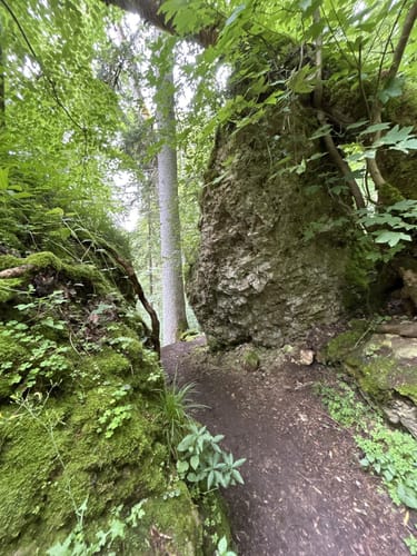 Schluchtensteig Etappe 1: Stühlingen - Blumberg