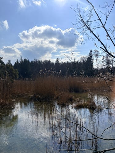 Großer Ostersee-Rundweg