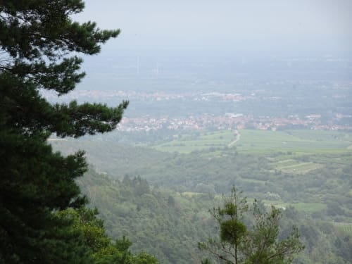 Vom Forsthaus Weilach zum Bismarckturm