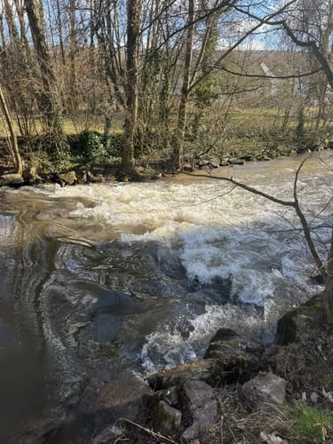Alzenau 2 : Wald und Wallfahrt