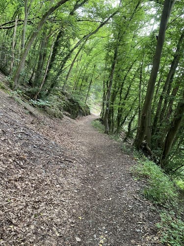 Wanderweg D2 (Datzeroth)