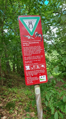 Untere Allerniederung bei Boye
