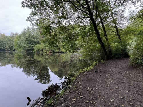 Hasselbachstausee - Danoperteich - Schlepperwiese Rundwanderung