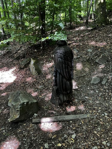 Zauberwald (Premiumspazierwanderweg)